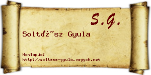 Soltész Gyula névjegykártya